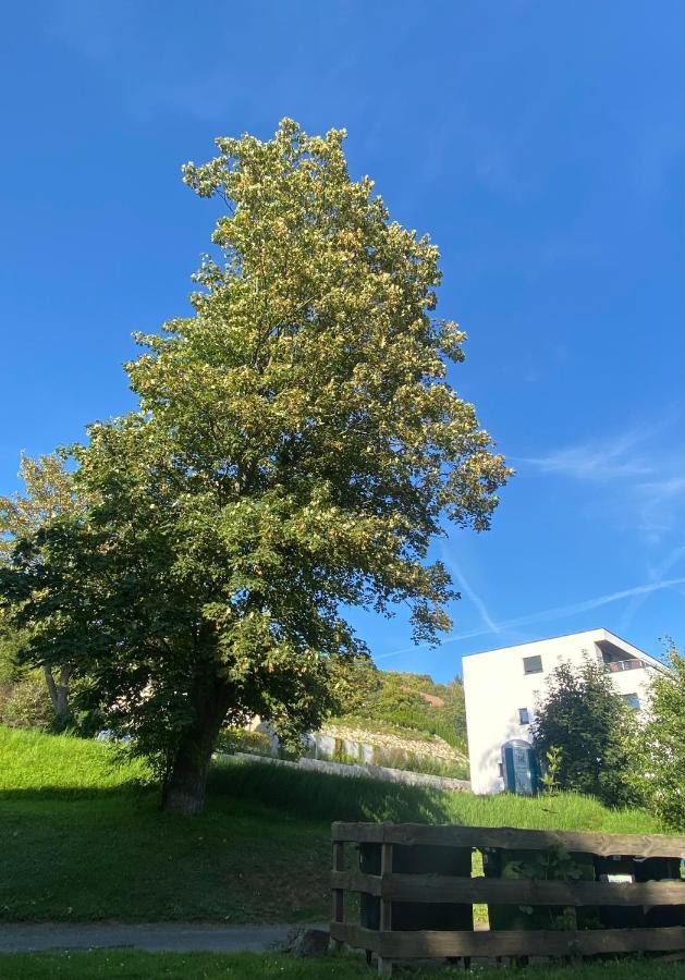 Zentral & Maritim Apartment Harzperle 3 Bad Harzburg Eksteriør billede