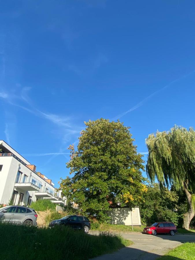 Zentral & Maritim Apartment Harzperle 3 Bad Harzburg Eksteriør billede